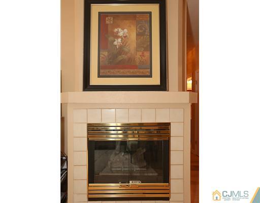 85 Wentworth Road Bedminster, NJ 07921 - Photo 7 of 20 a close view of a fireplace