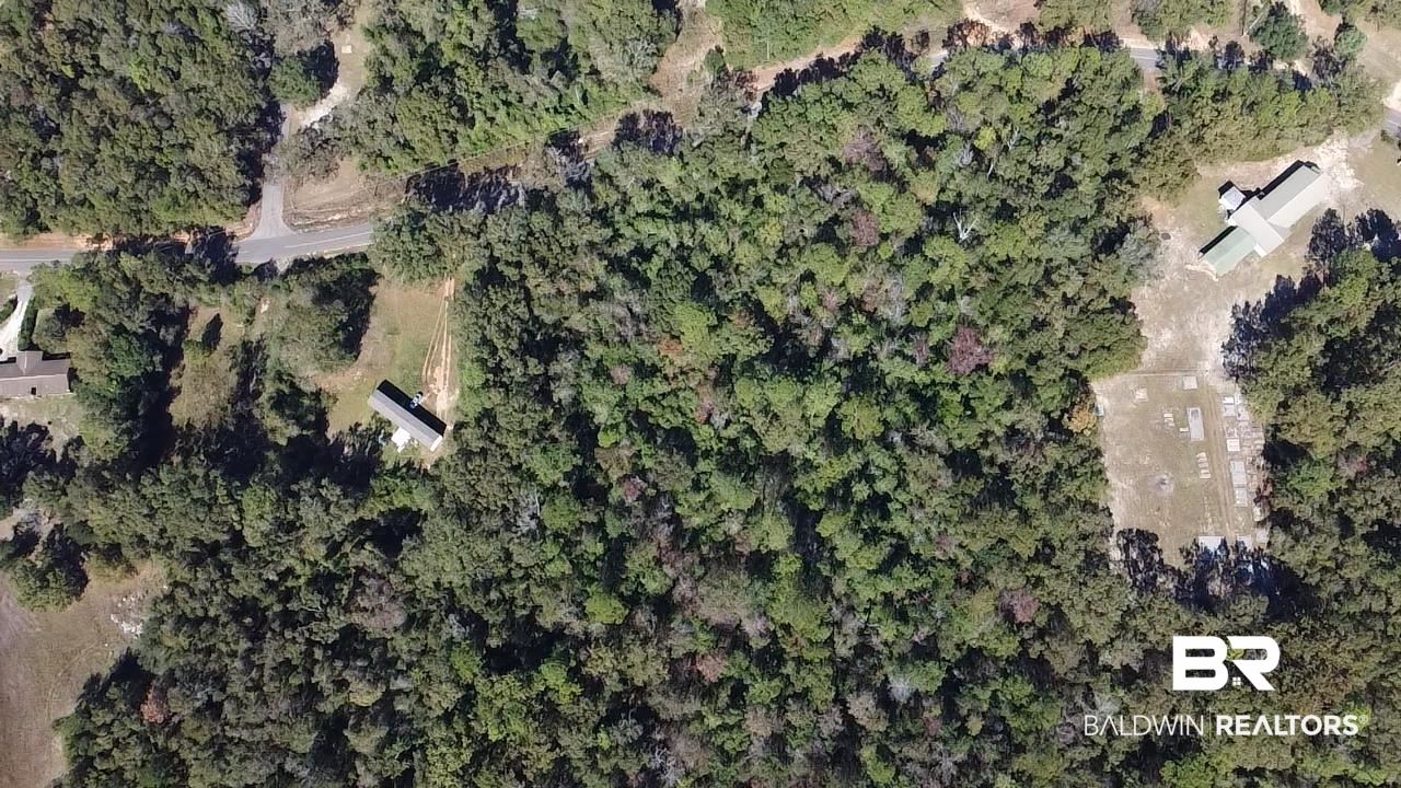 0 County Road 2 Flomaton, AL 36441 - Photo 5 of 8 Aerial View