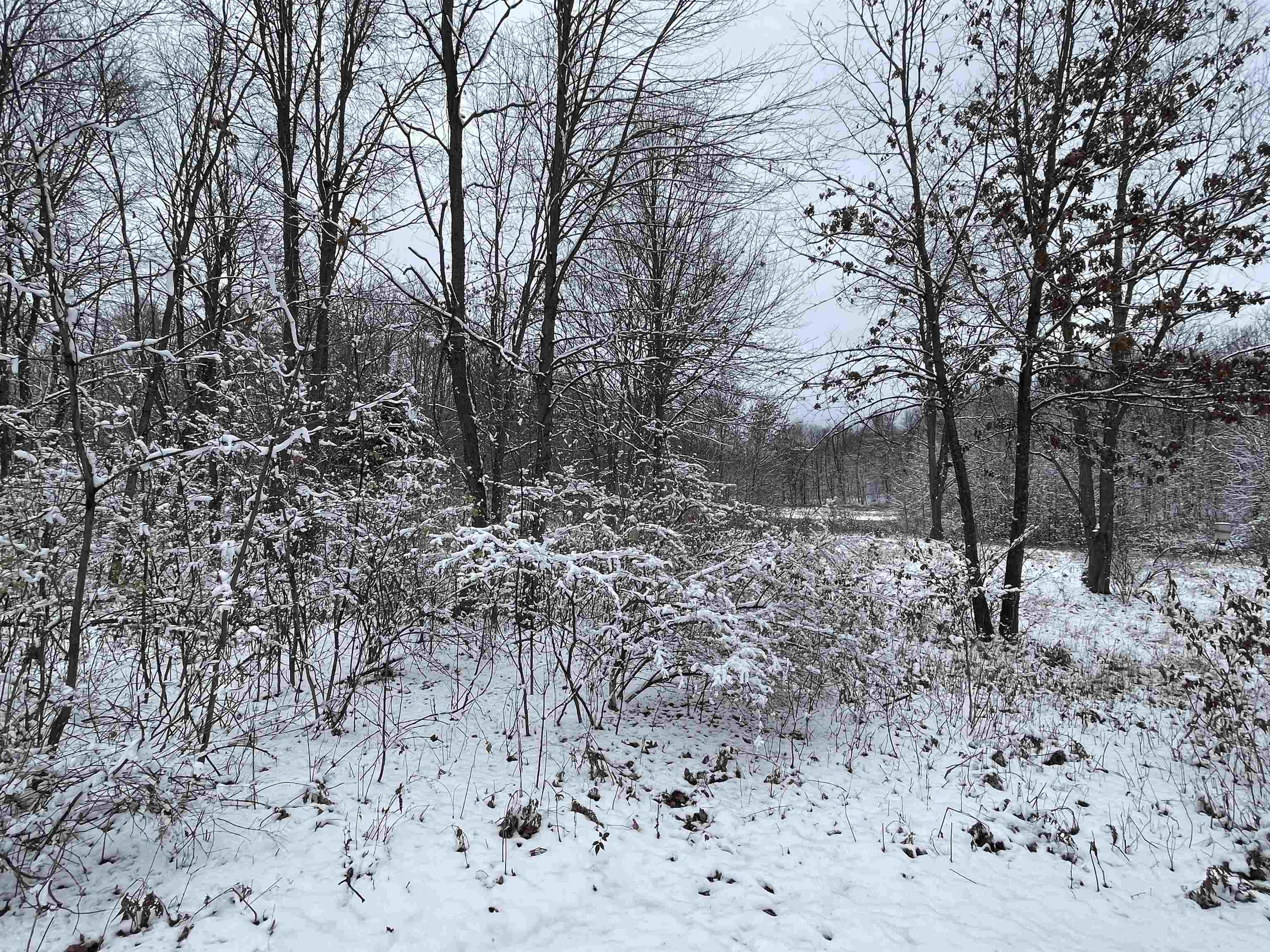 7454 West Maple Grove Rd Lake Lake, MI 48632 - Photo 20 of 32