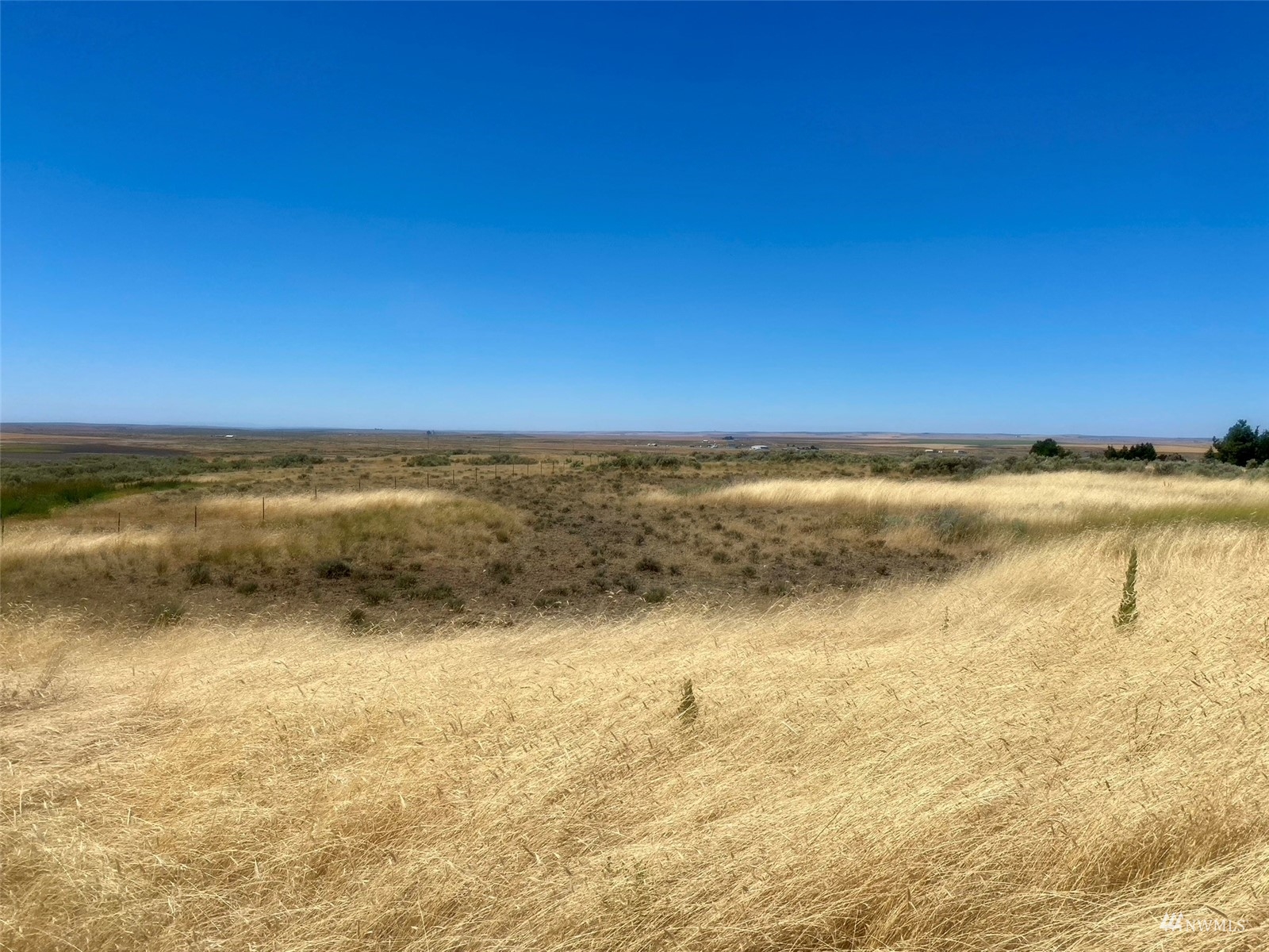 0 Southwest Trinity Avenue Wilbur, WA 99185 - Photo 11 of 11