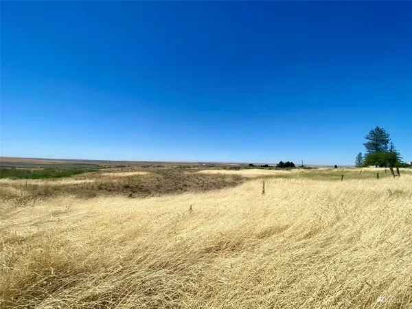 $16,000 | 0 Southwest Trinity Avenue, Wilbur, WA 99185
