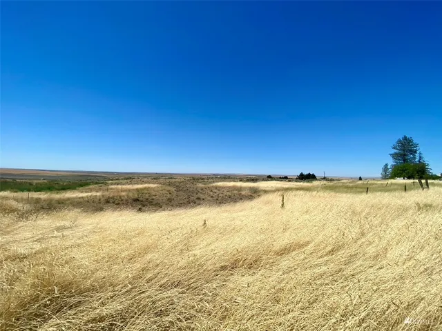 $16,000 | 0 Southwest Trinity Avenue, Wilbur, WA 99185