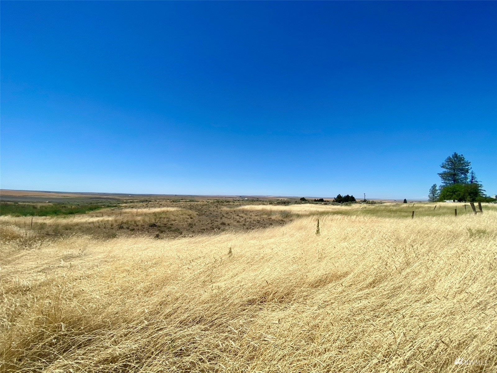 0 Southwest Trinity Avenue Wilbur, WA 99185 - Photo 3 of 11