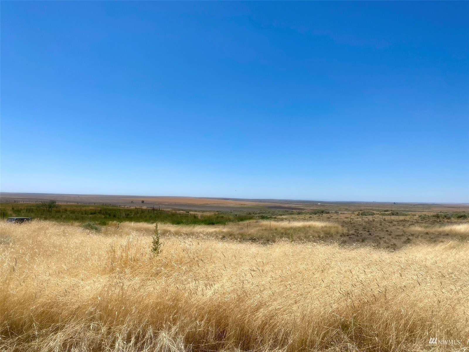 0 Southwest Trinity Avenue Wilbur, WA 99185 - Photo 8 of 11