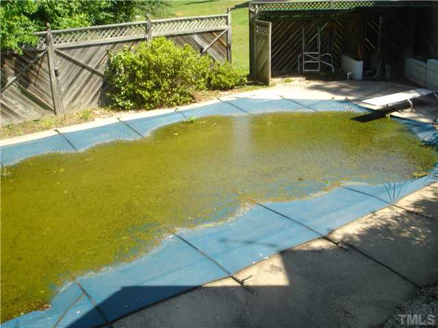 795 Burgess Road Apex, NC 27523 - Photo 7 of 12 Pool