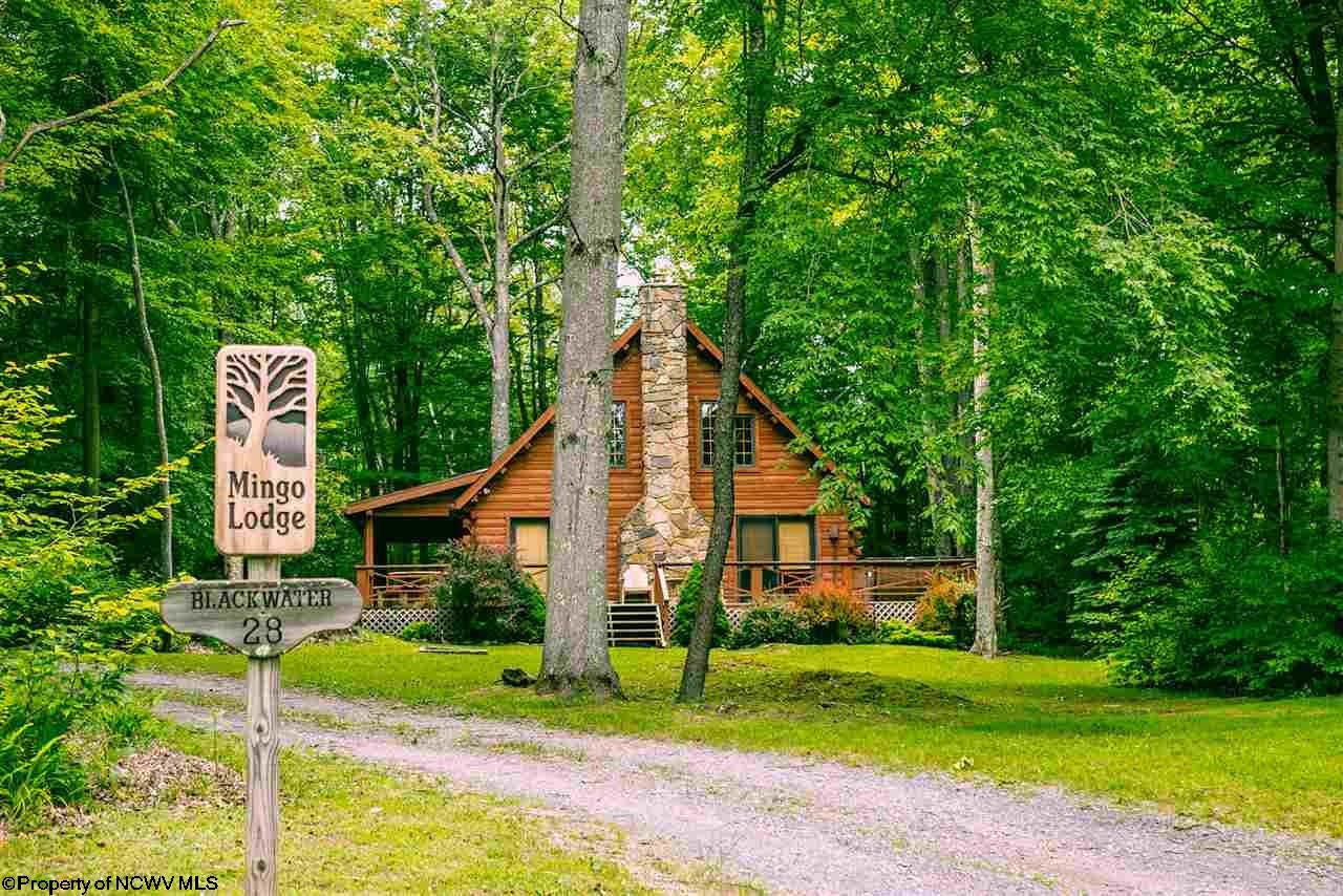 345 Lakeview Road Davis, WV 26260 - Photo 19 of 20 Gallery Image 19