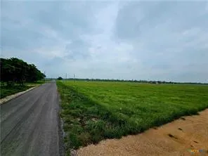 a view of a field with an trees