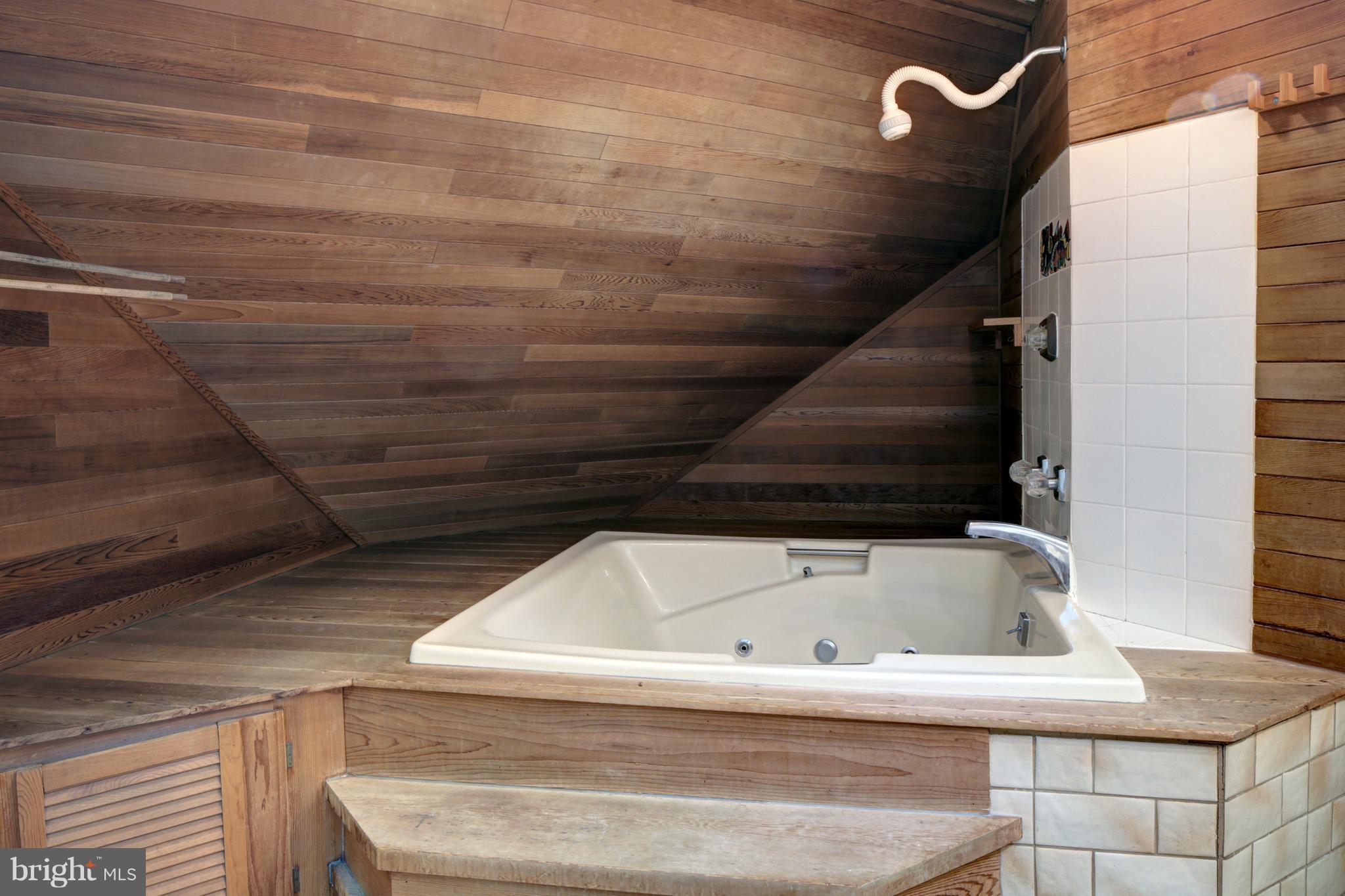 282 Cape St John Road Annapolis, MD 21401 - Photo 21 of 30 Bath (Master)