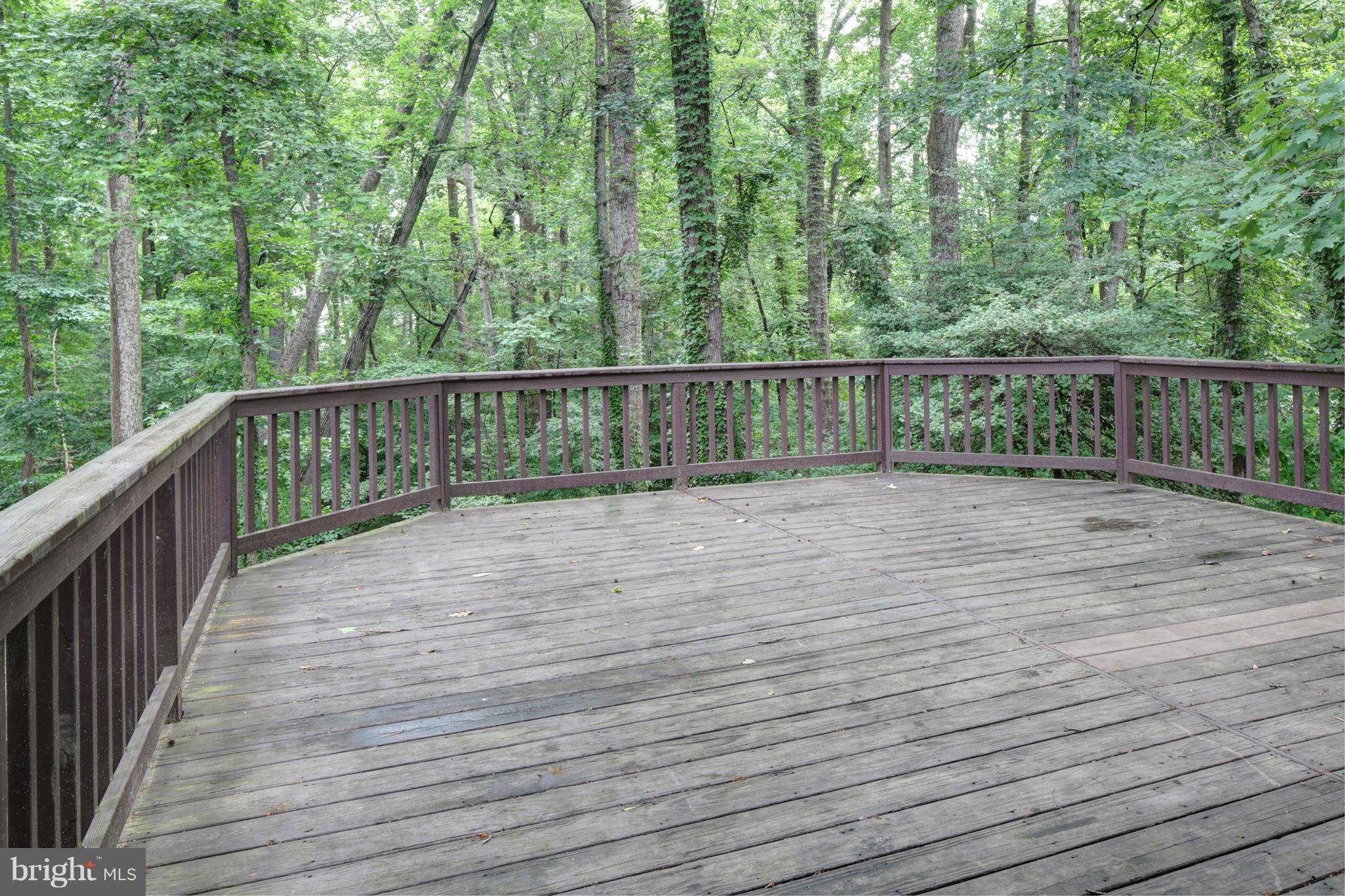 282 Cape St John Road Annapolis, MD 21401 - Photo 9 of 30 deck off main level