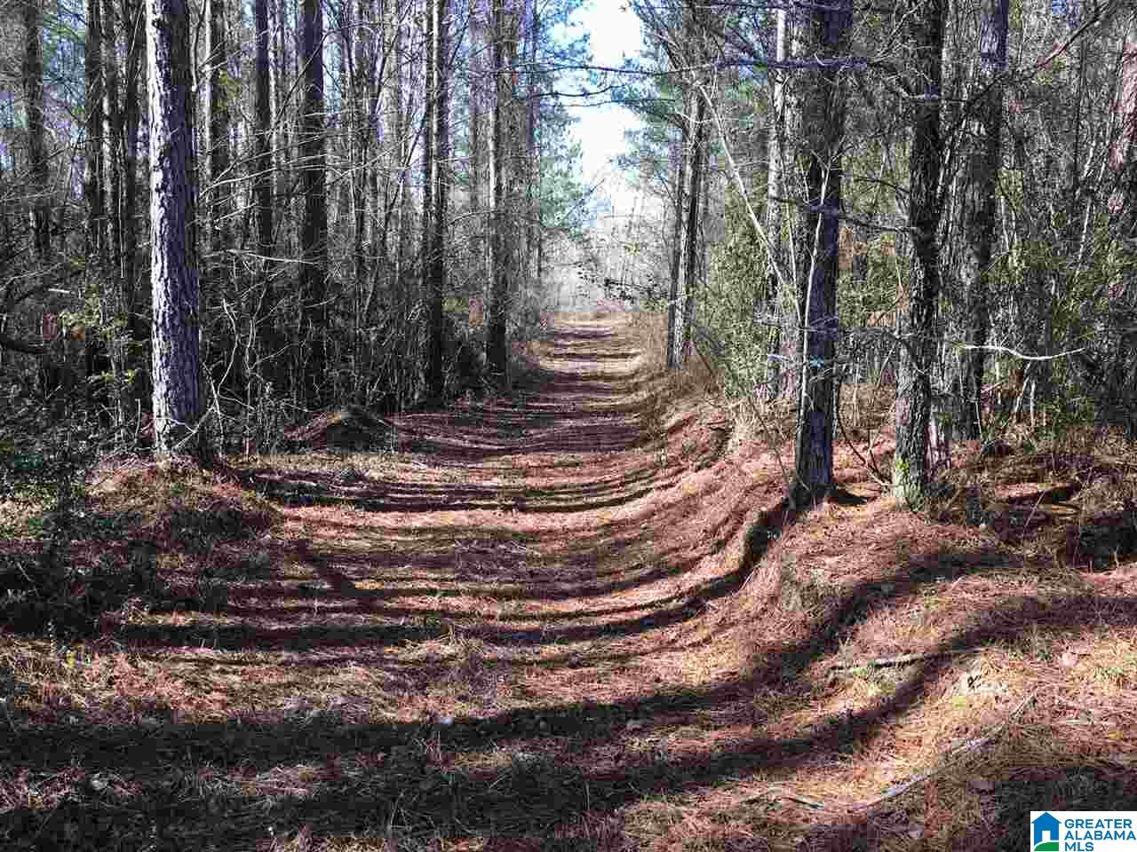 0 Shoal Creek Road, Unit 10 AC Ashville, AL 35953 - Photo 10 of 13