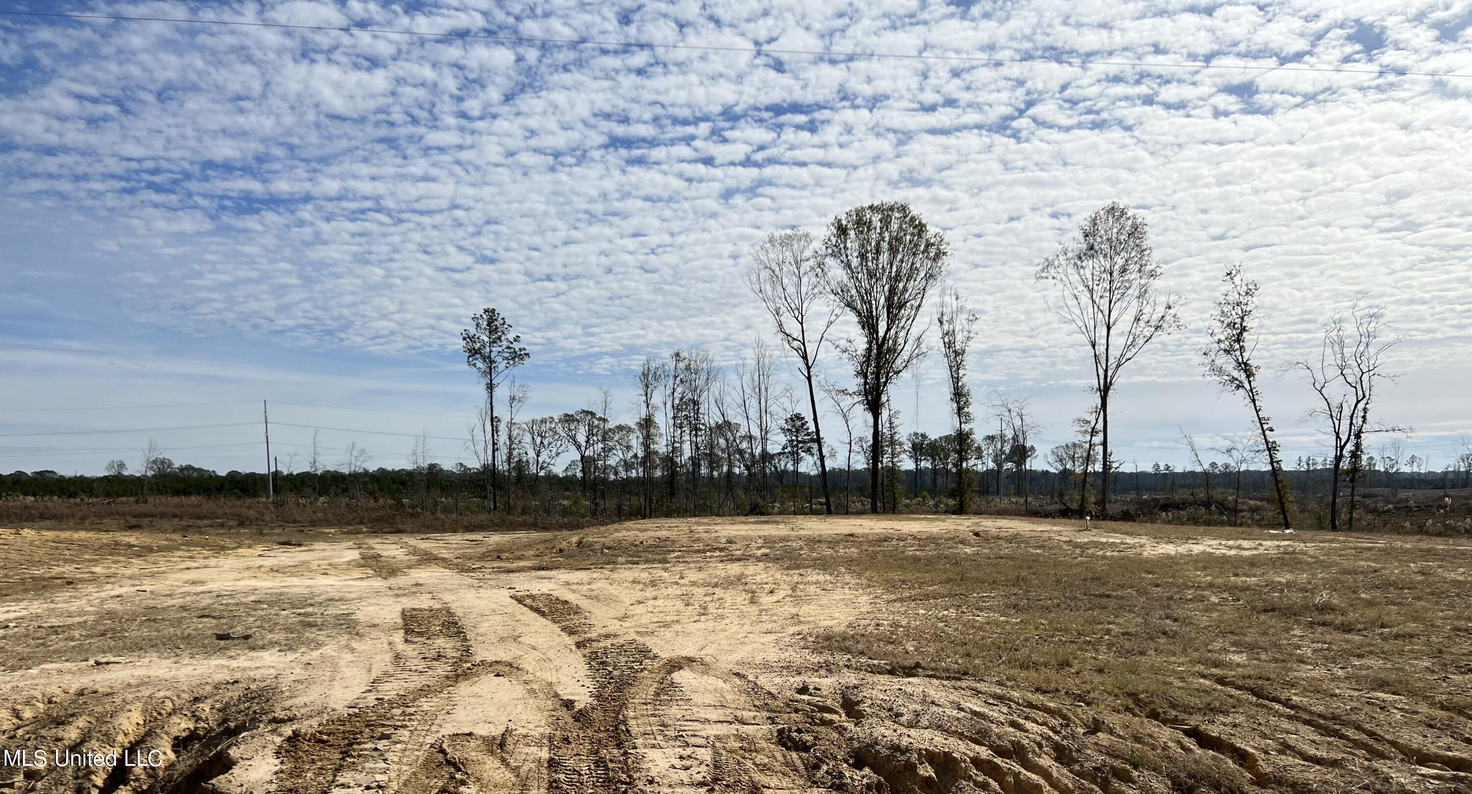 450 Stump Ridge Road Brandon, MS 39047 - Photo 1 of 3 EF5C6E4F-2A19-410E-A7FB-BE19EE6F8311