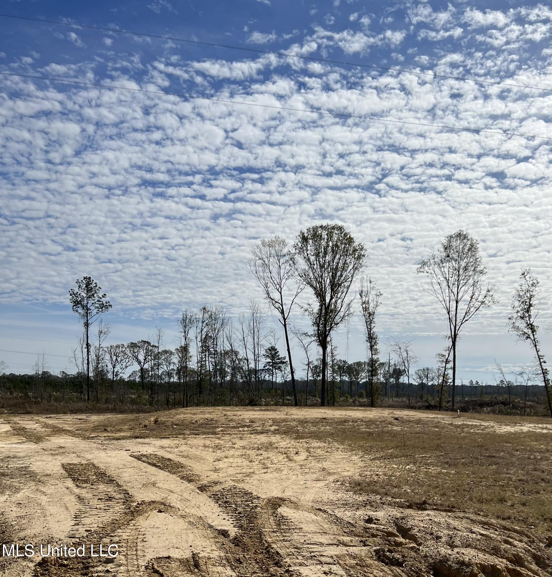 450 Stump Ridge Road Brandon, MS 39047 - Photo 2 of 3 967B4712-C3B3-492C-9198-AF47B7A62752
