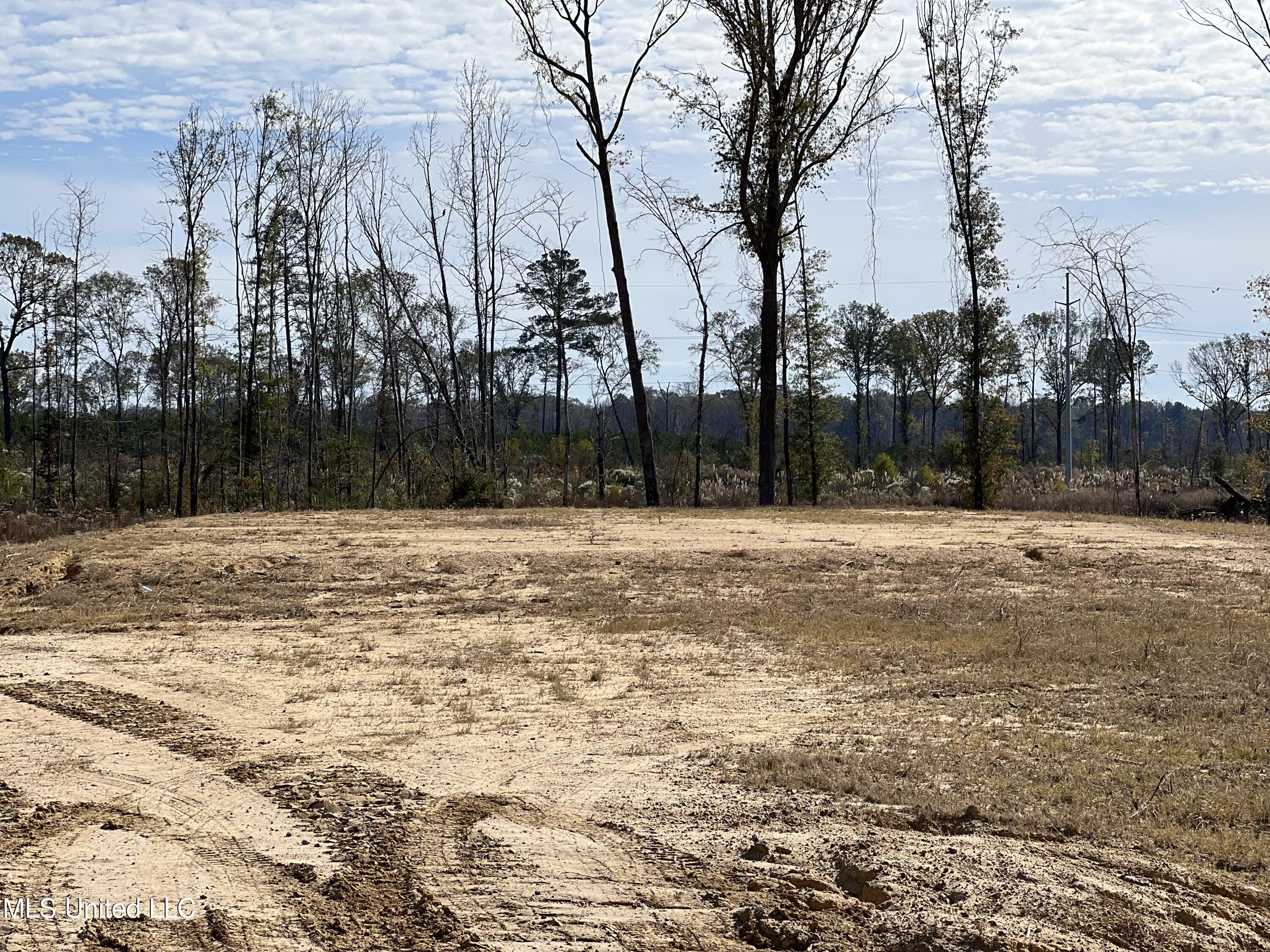 450 Stump Ridge Road Brandon, MS 39047 - Photo 3 of 3 8E0ED36D-DC8D-45DF-8451-81951F55524A