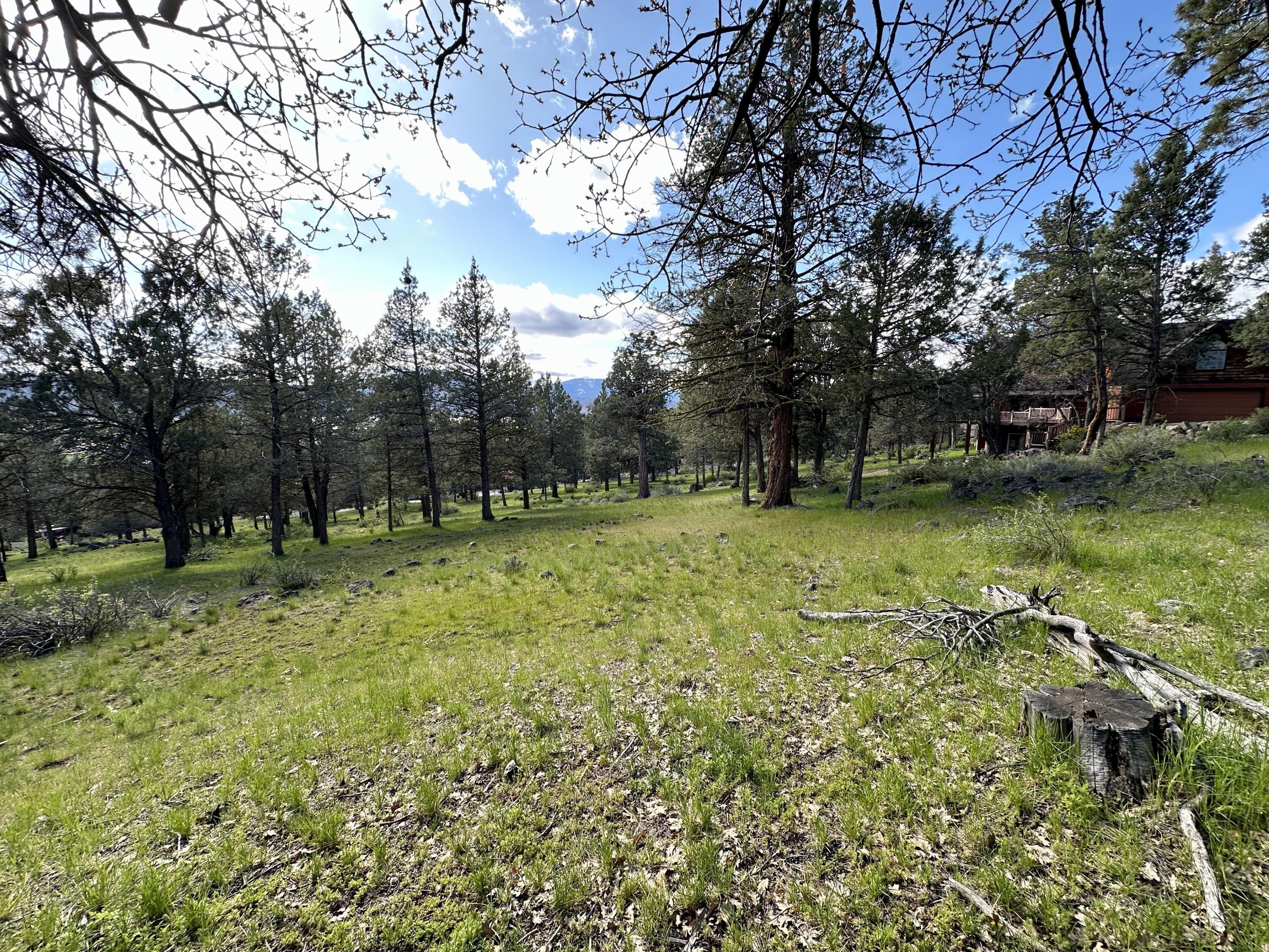 Lot 805 Cooper's Hawk Road Klamath Falls, OR 97601 - Photo 7 of 27 IMG_8324