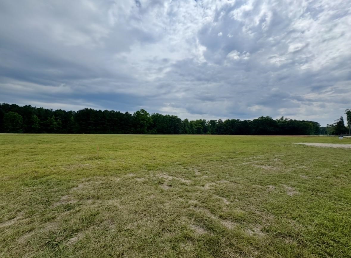 Tbd Memory Lane Loris, SC 29569 - Photo 5 of 5 Gallery Image 5