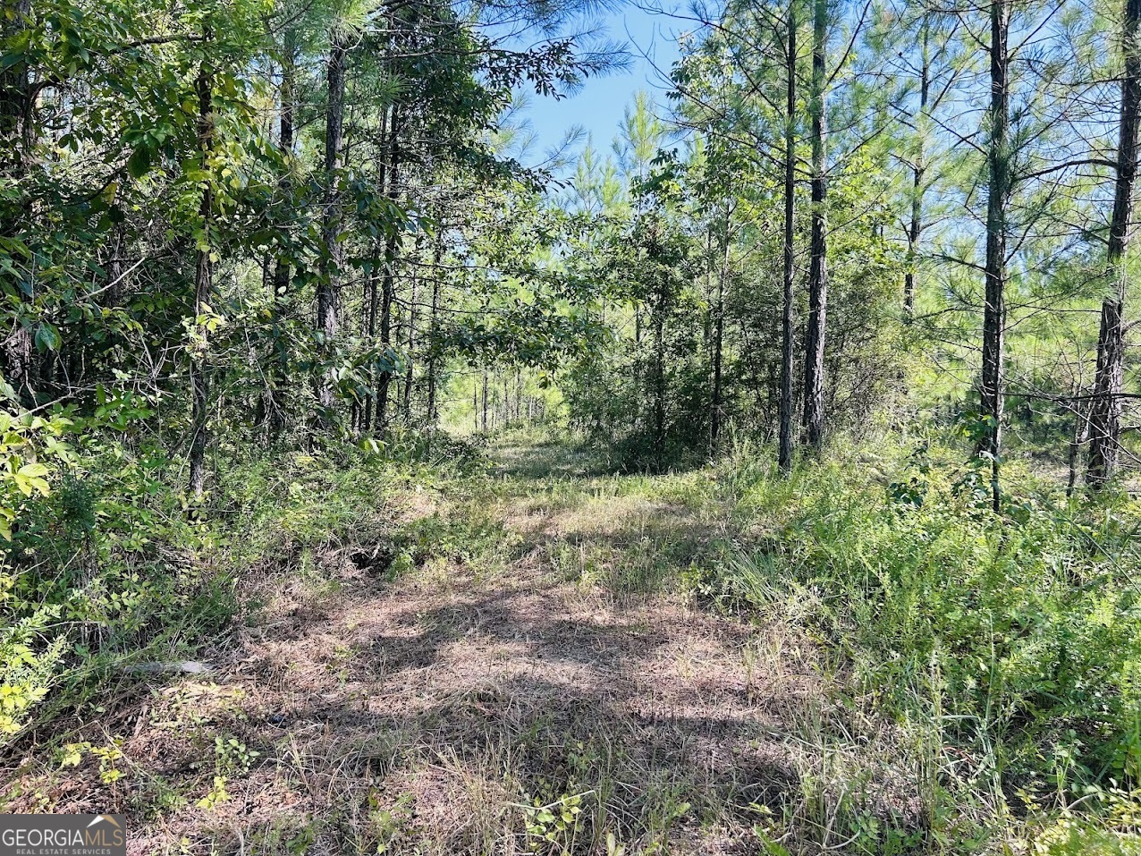 0 County Road 235 Unit TRACT 2  