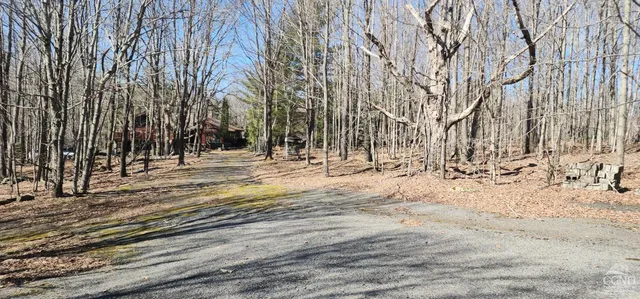 a view of a yard with a trees