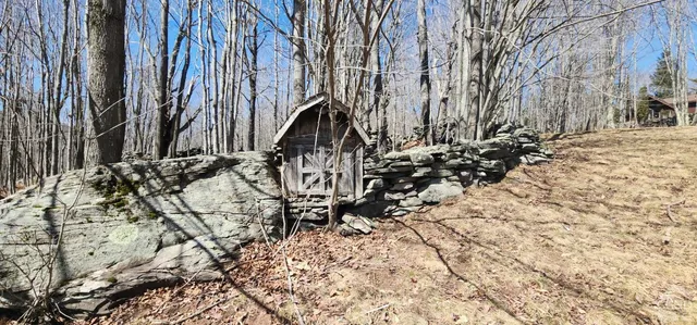 a view of a backyard of the house