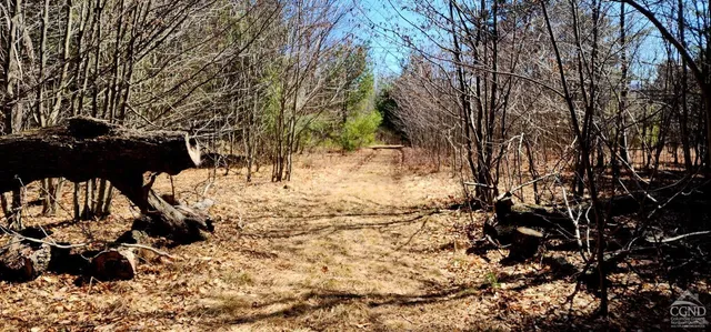 $2,100,000 | 184 Cloos Road, Jewett, NY 12442