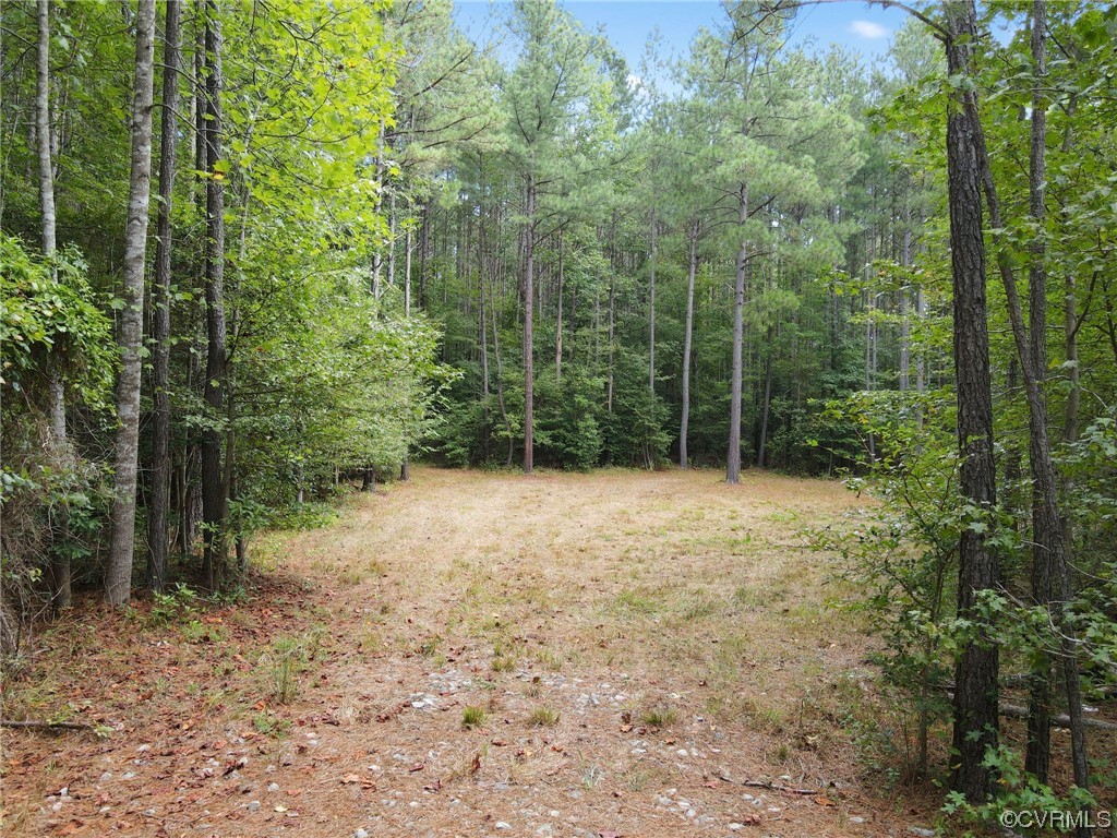 12820 Ivey Mill Road Chesterfield, VA 23838 - Photo 8 of 11 Gallery Image 8