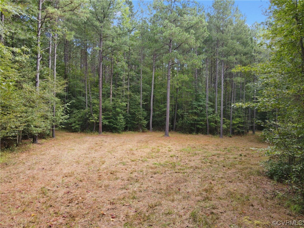 12820 Ivey Mill Road Chesterfield, VA 23838 - Photo 9 of 11 Gallery Image 9
