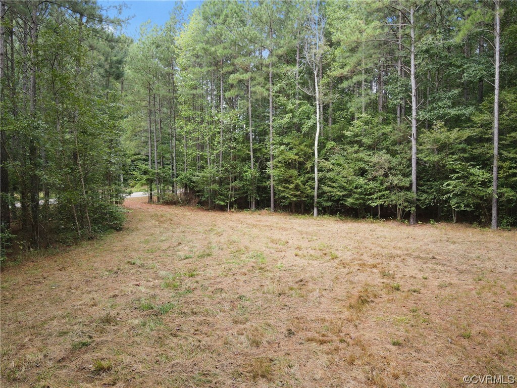 12820 Ivey Mill Road Chesterfield, VA 23838 - Photo 10 of 11 Gallery Image 10
