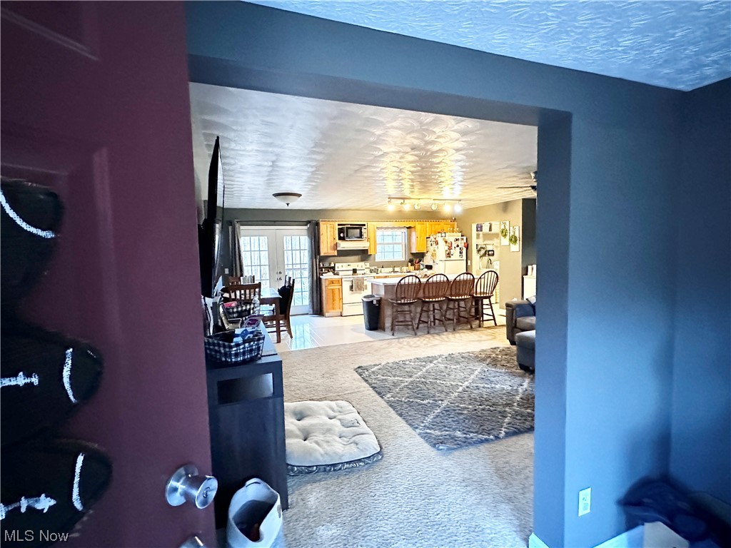 50748 Shenandoah Road Caldwell, OH 43724 - Photo 5 of 43 Living room featuring ceiling fan, carpet floors, a textured ceiling, and french doors