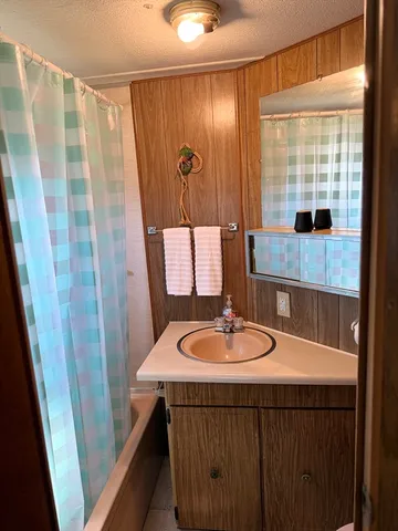 a bathroom with a sink a mirror and a shower