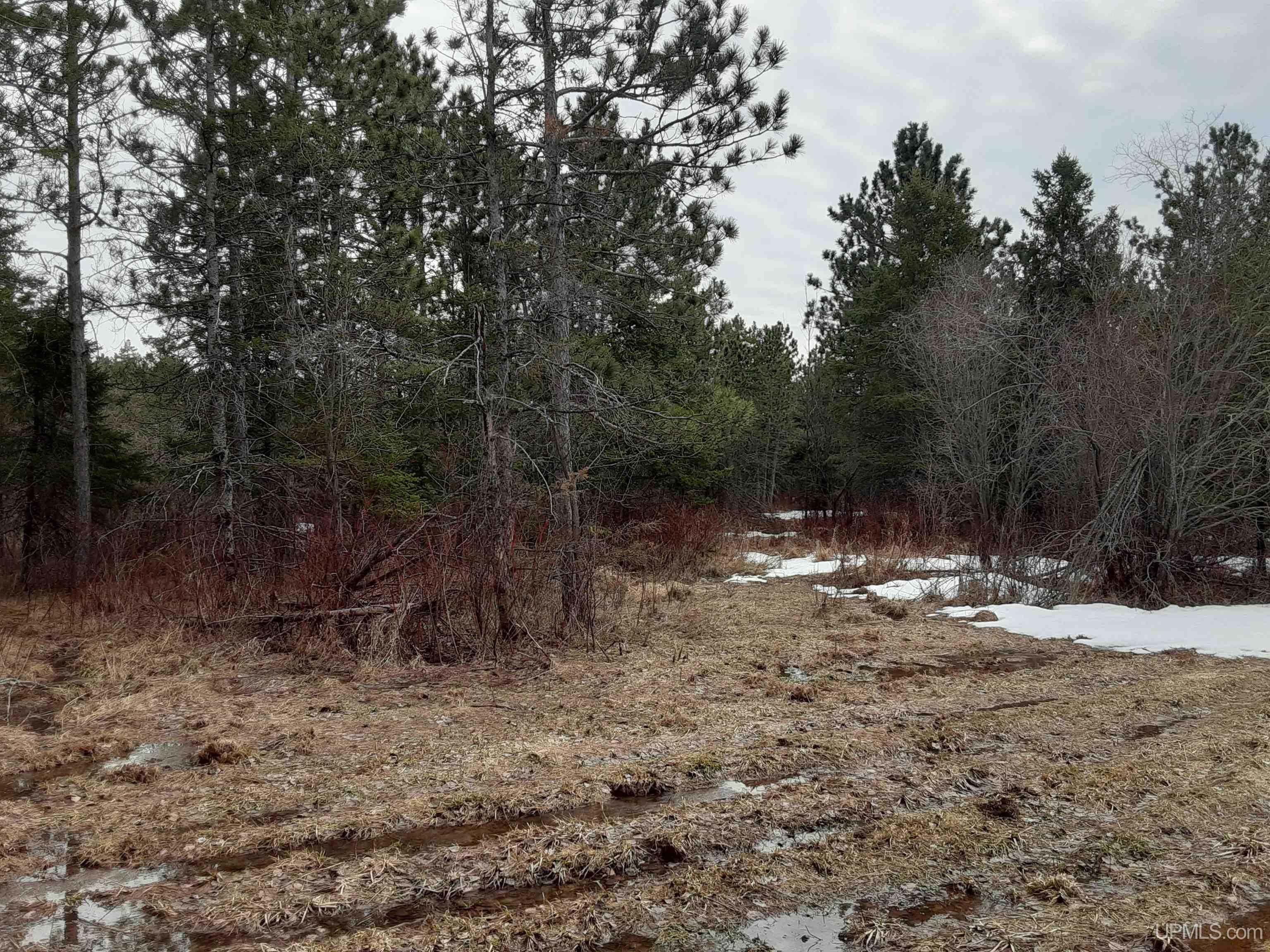 39749 Davis Road High Bridge, WI 54846 - Photo 5 of 10