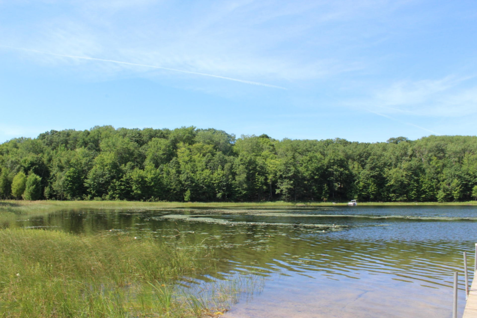 Lot #340 Alpine Drive Reed City, MI 49677 - Photo 6 of 11 IMG_4834