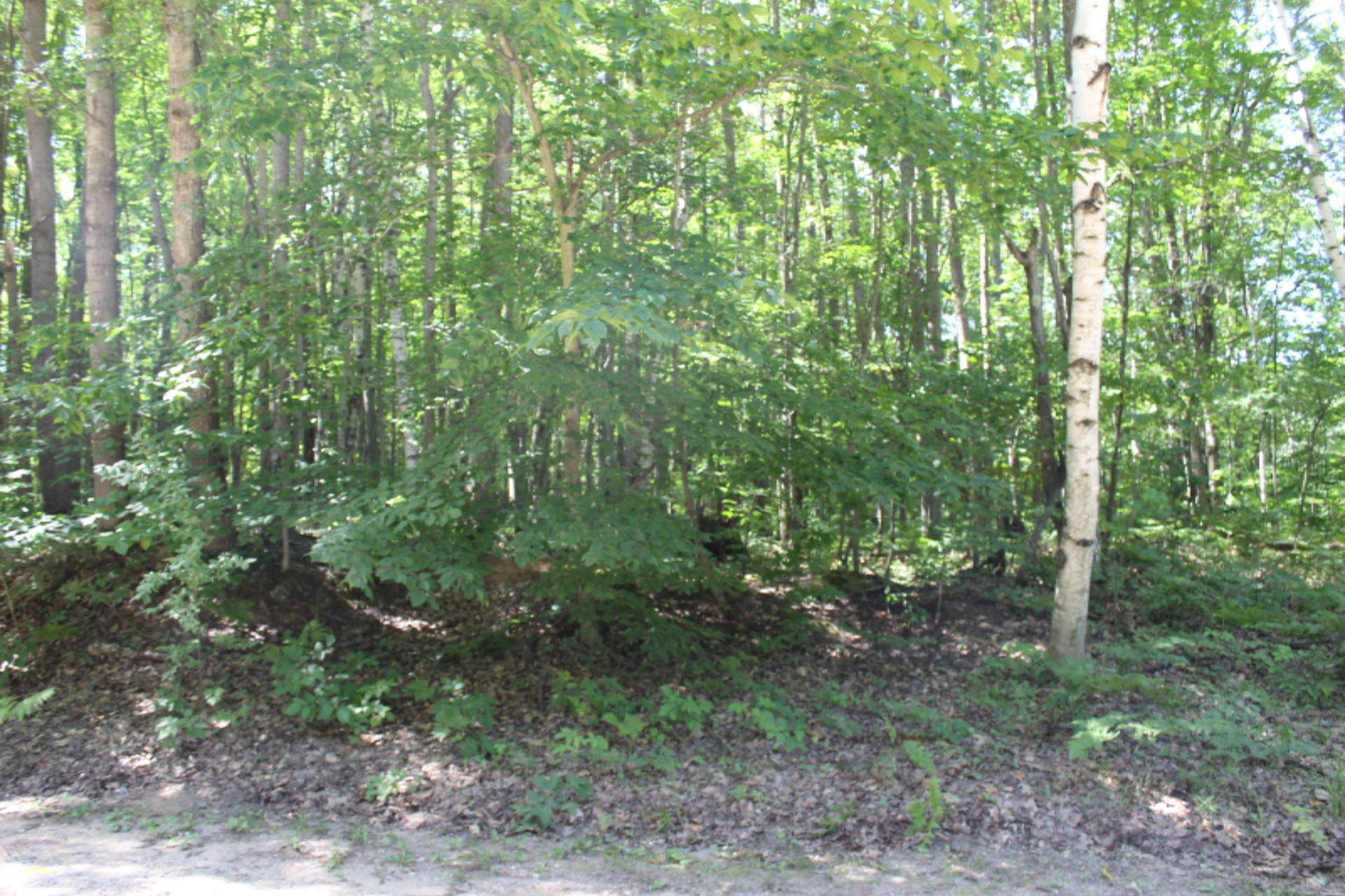 Lot #340 Alpine Drive Reed City, MI 49677 - Photo 9 of 11 IMG_4839 (1)