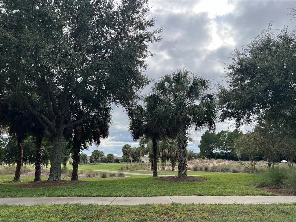9515 Southwest 76th Street Ocala, FL 34481 - Photo 52 of 55 a big yard with large trees