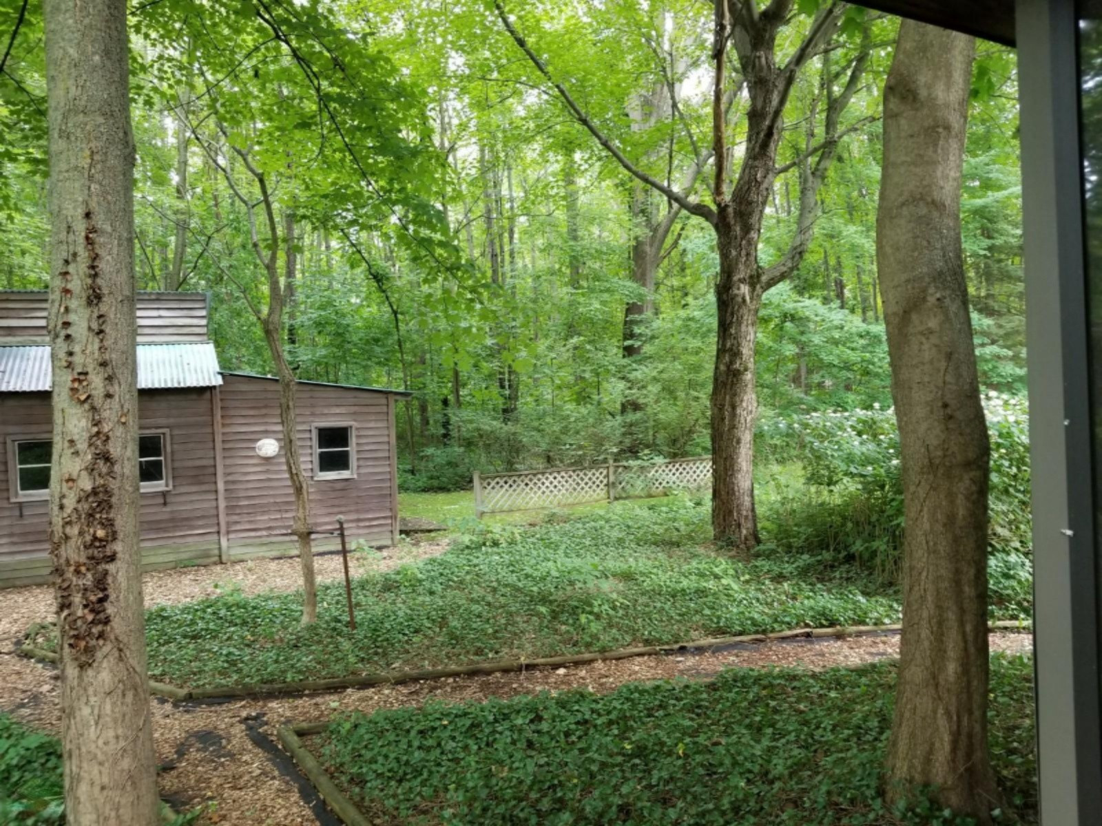 32997 Haley Road Dowagiac, MI 49047 - Photo 8 of 27 20190628_164526