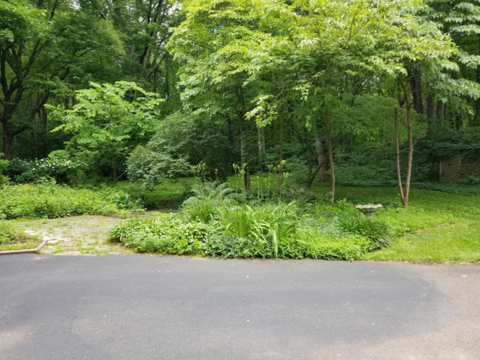 32997 Haley Road Dowagiac, MI 49047 - Photo 9 of 27 20190628_163639