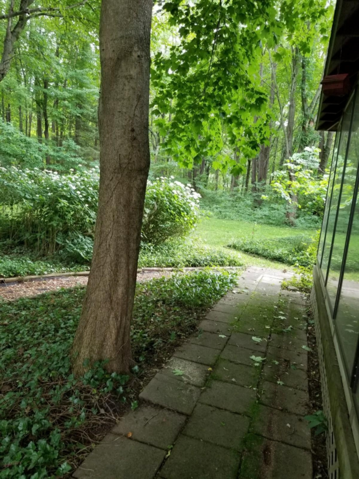 32997 Haley Road Dowagiac, MI 49047 - Photo 10 of 27 20190628_164534
