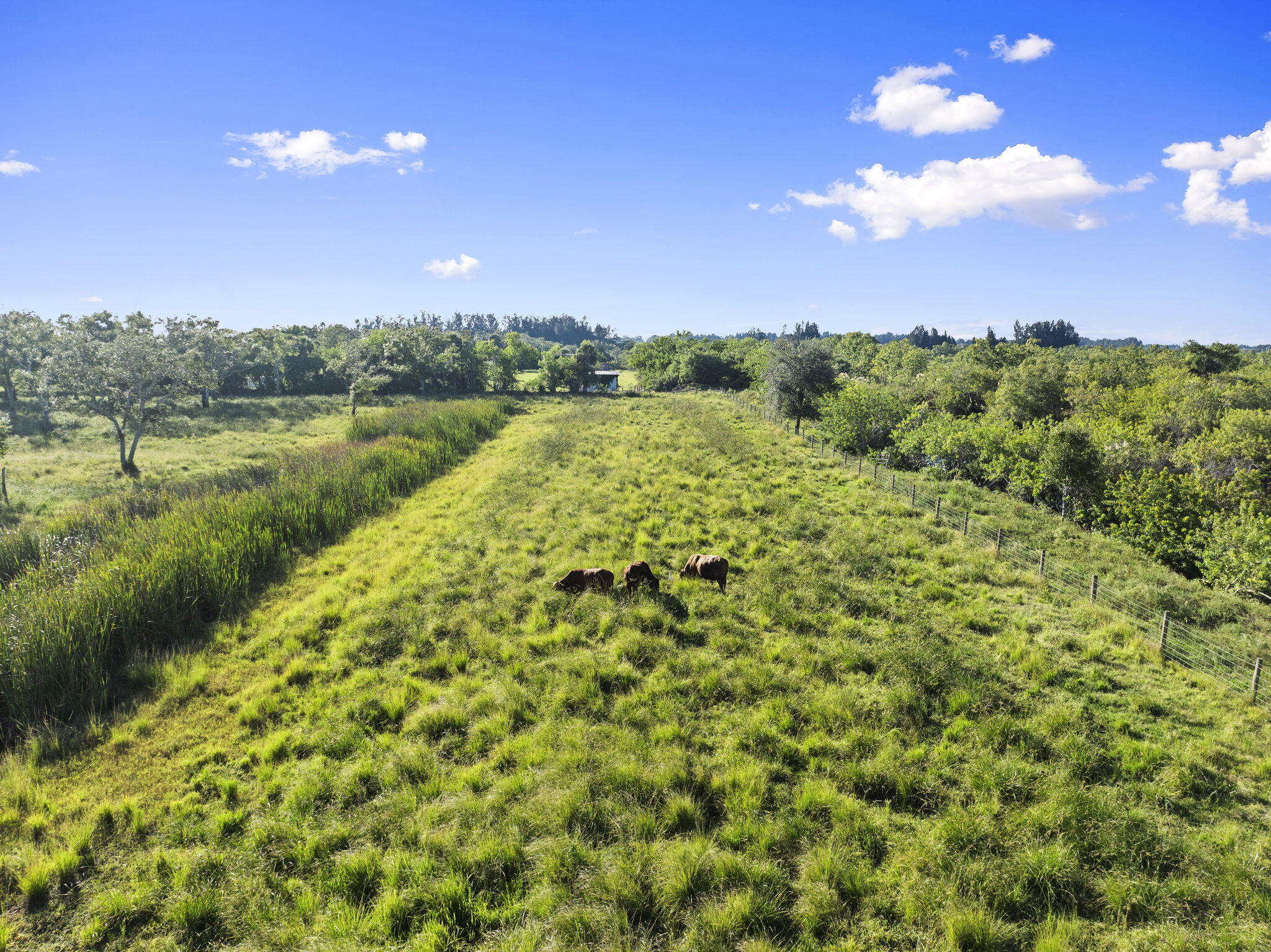 4044 Johnston Road Fort Pierce, FL 34951 - Photo 28 of 124 32-web-or-mls-DJI_0680