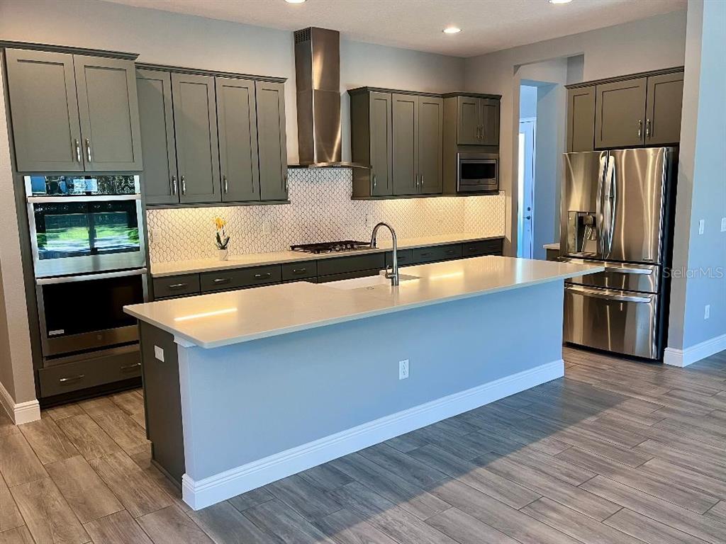 5901 Nature Ridge Lane Lithia, FL 33547 - Photo 17 of 54