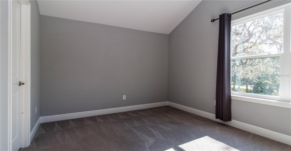 5901 Nature Ridge Lane Lithia, FL 33547 - Photo 36 of 51