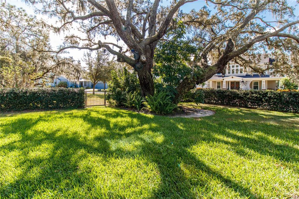 5901 Nature Ridge Lane Lithia, FL 33547 - Photo 42 of 51 a view of house with a big yard and potted plants