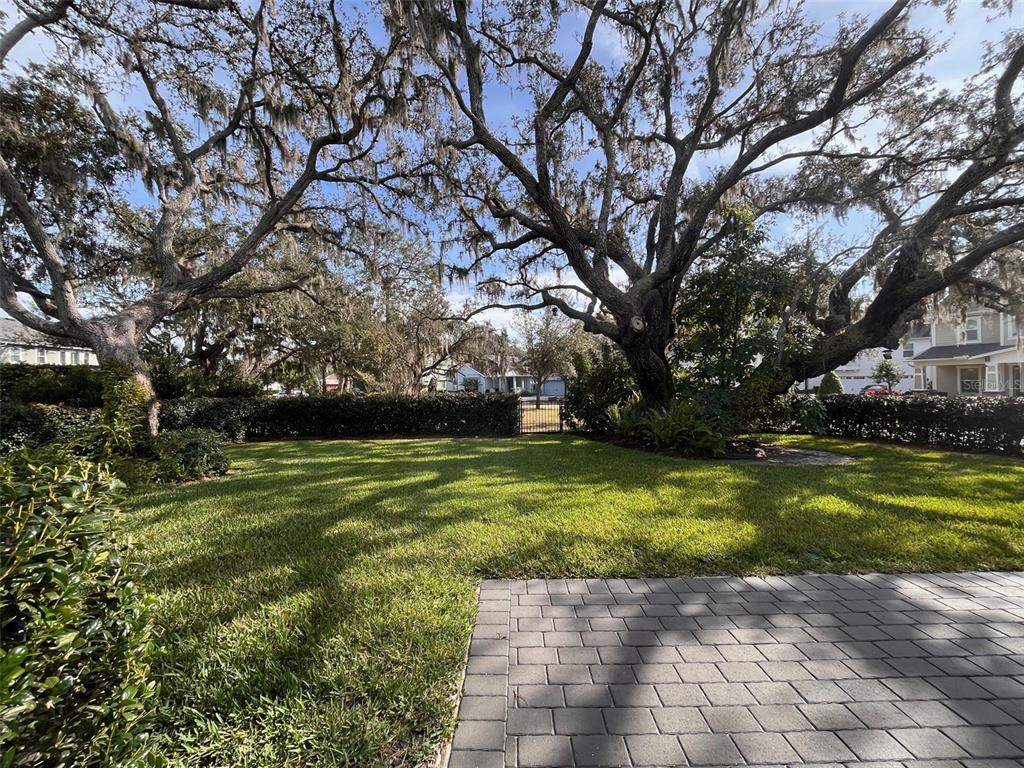 5901 Nature Ridge Lane Lithia, FL 33547 - Photo 45 of 54 a view of yard with swimming pool and green space