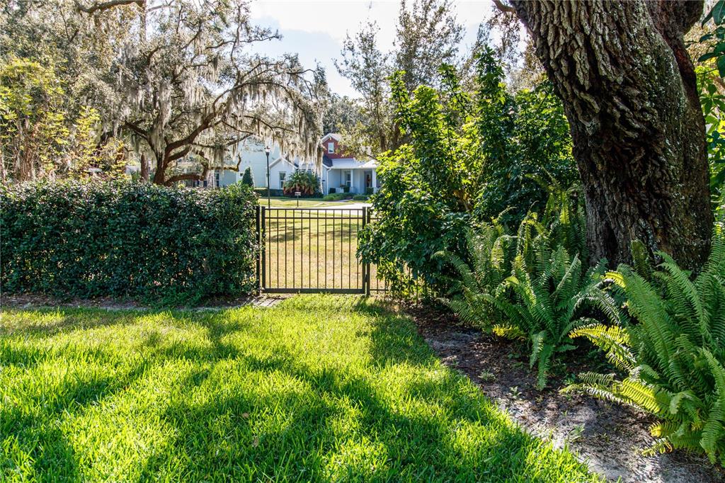 5901 Nature Ridge Lane Lithia, FL 33547 - Photo 48 of 54 a view of backyard with green space