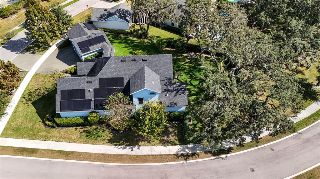 5901 Nature Ridge Lane Lithia, FL 33547 - Photo 52 of 54 an aerial view of a house with a yard and fountain