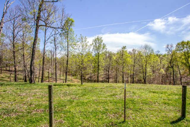 4325 Cave Springs Road Santa Fe, TN 38482 - Photo 18 of 20