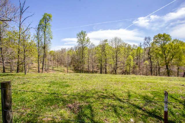 4325 Cave Springs Road Santa Fe, TN 38482 - Photo 19 of 20