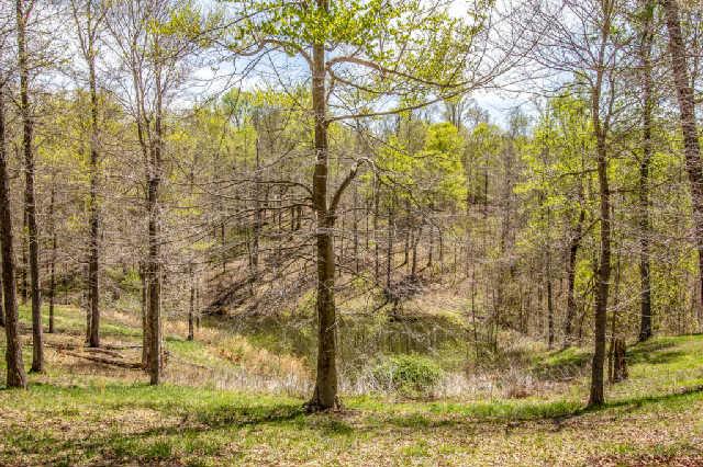 4325 Cave Springs Road Santa Fe, TN 38482 - Photo 20 of 20