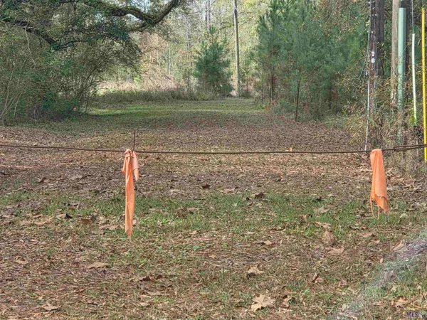 $80,000 | Tbd Chemekette Road, Robert, LA 70455