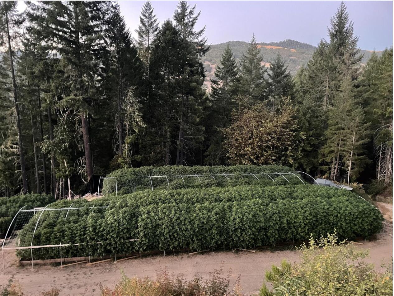 44 Acres Stapp Road Kneeland, CA 95549 - Photo 4 of 12