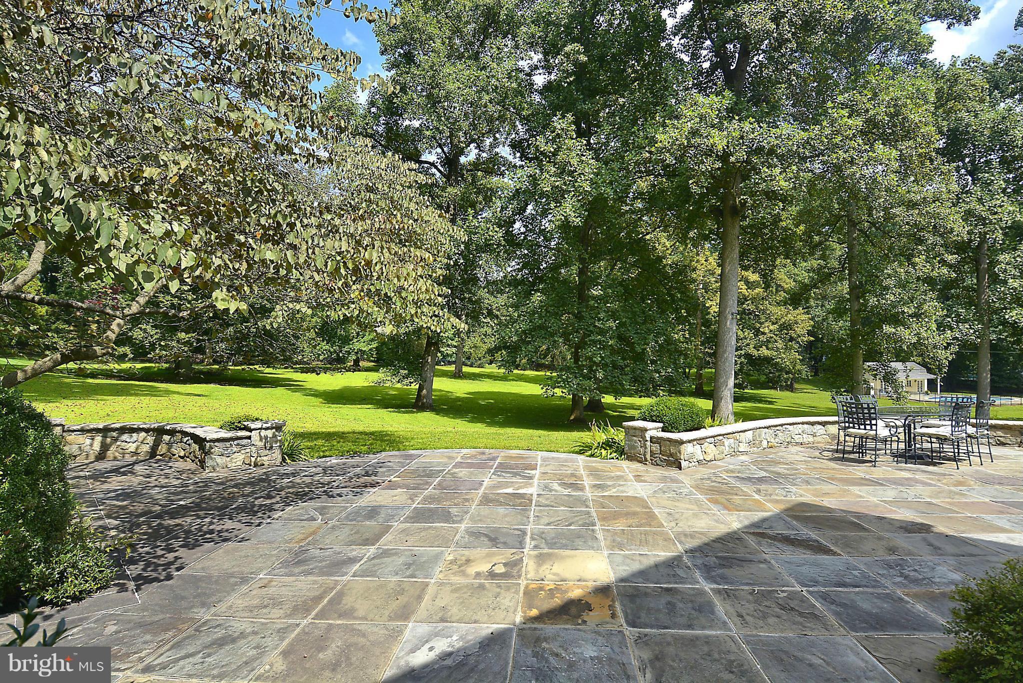 8741 Persimmon Tree Road Potomac, MD 20854 - Photo 27 of 30 View from expansive flagstone patio