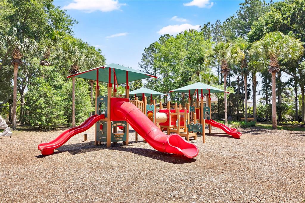 21345 Sullivan Ranch Boulevard Mount Dora, FL 32757 - Photo 61 of 63
