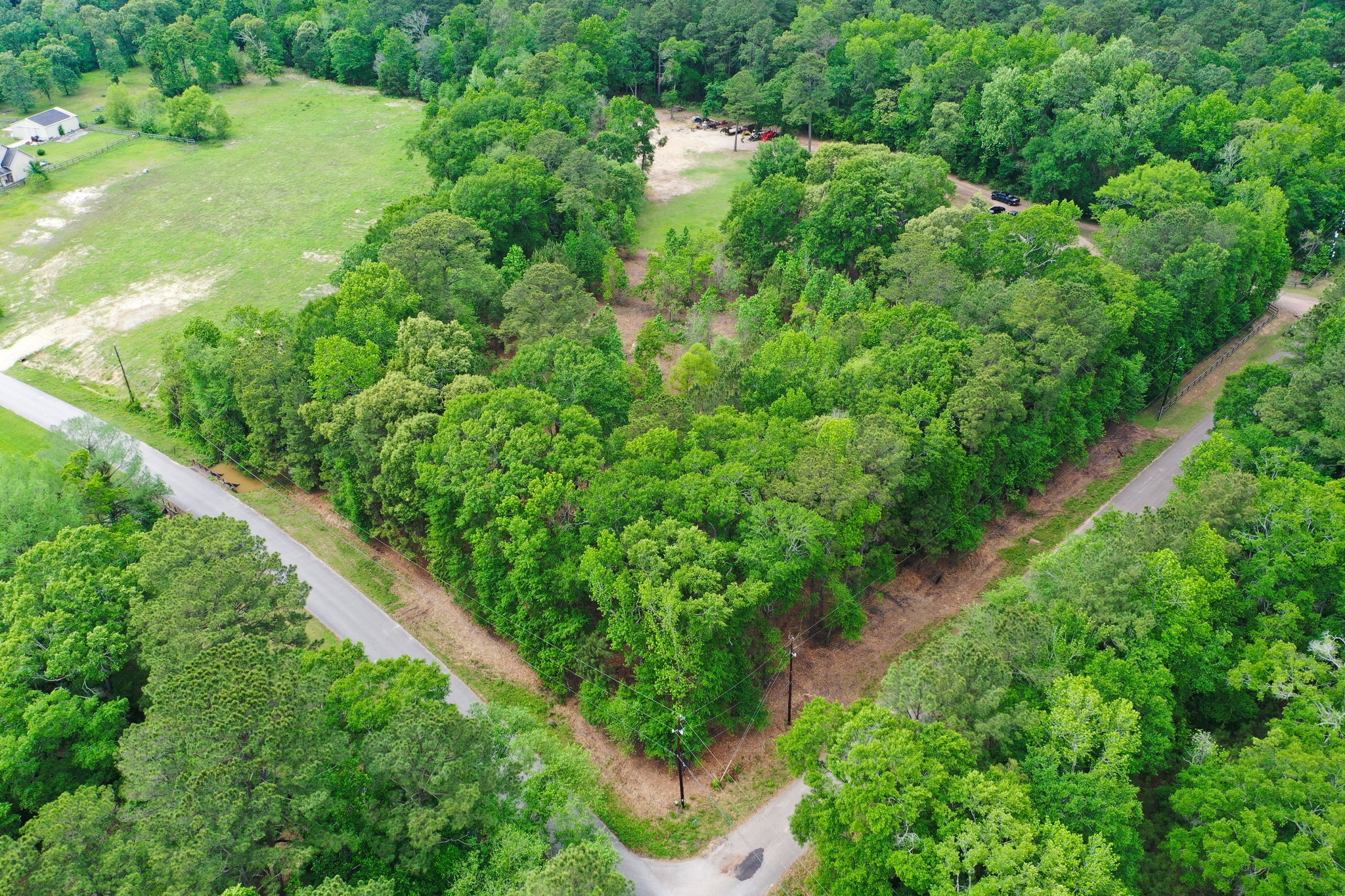 0 Daniel Street Magnolia, TX 77354 - Photo 4 of 14